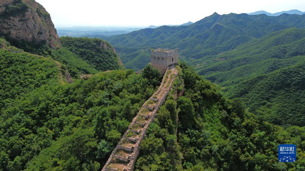 金沙平台大全